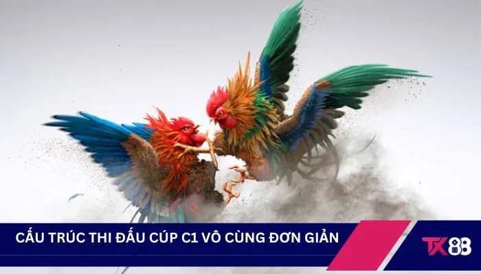 Cấu trúc thi đấu cúp C1 vô cùng đơn giản
