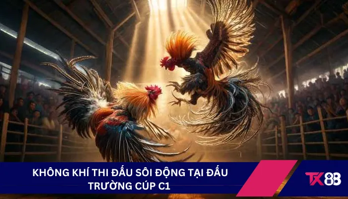 Không khí thi đấu sôi động tại đấu trường cúp C1